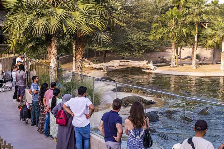 حديقة دبي للتماسيح.. وجهة فريدة للمغامرات والتشويق والإثارة