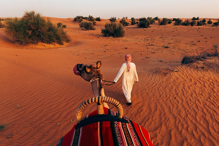 إليكم أروع الباقات الصيفية الحصرية من منتجع المها الصحراوي لقضاء عطلة لا تُنسى