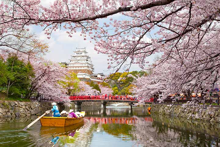 اليابان.. رحلة مذهلة في أرض الشمس المشرقة والتقاليد والحداثة