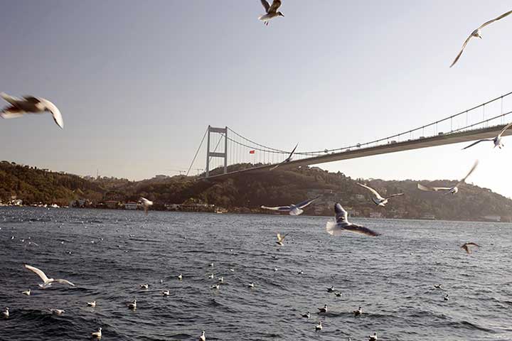 إقامة فندقية مجانية وجولات سياحية للمسافرين عبر "Touristanbul" الخطوط الجوية التركية