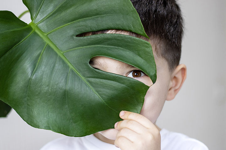 8 نباتات منزلية قد تعرّض حياة طفلك للخطر