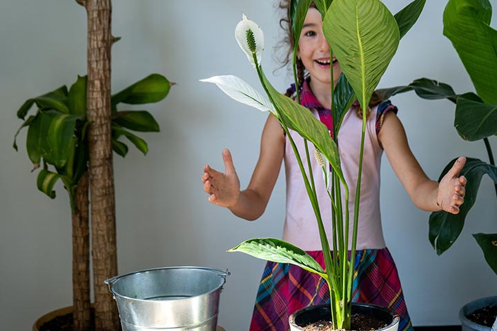 8 نباتات منزلية قد تعرّض حياة طفلك للخطر