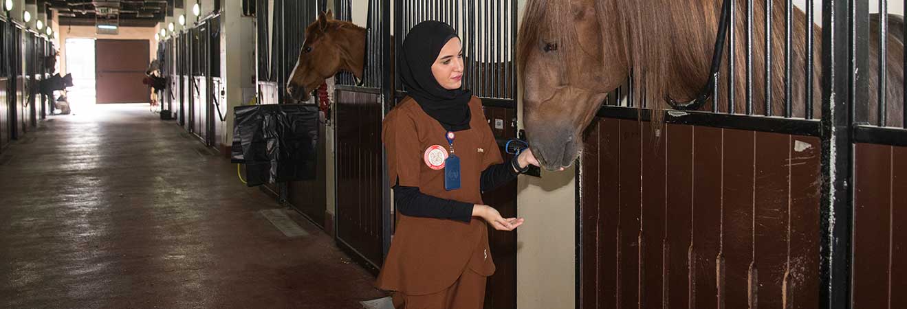 حوار مع د. فايزة فلكناز أول طبيبة بيطرية في شرطة أبوظبي