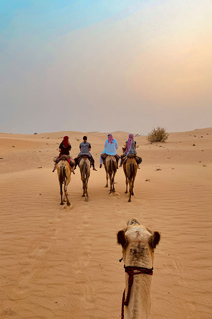تعرفوا إلى مركز الصحراء العربية.. أول مركز لتعليم النساء ركوب الجمل