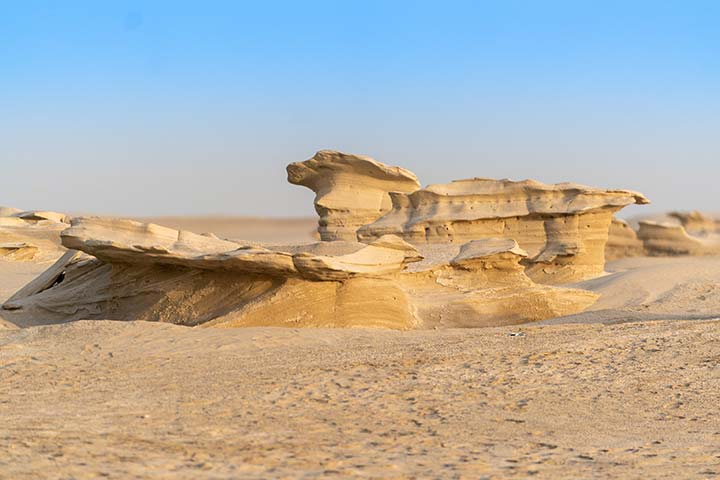 محمية كثبان الوثبة الأحفورية.. الوجهة الأولى من نوعها في الإمارات