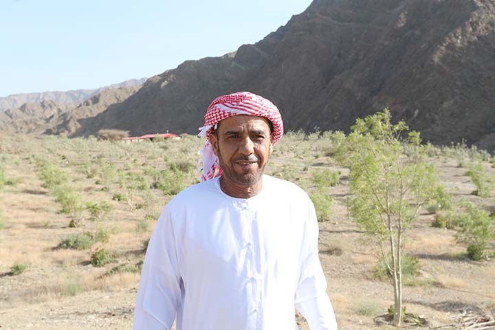 راشد المزروعي يروي حكايته مع أول محمية زراعية لشجرة الشوع في الإمارات