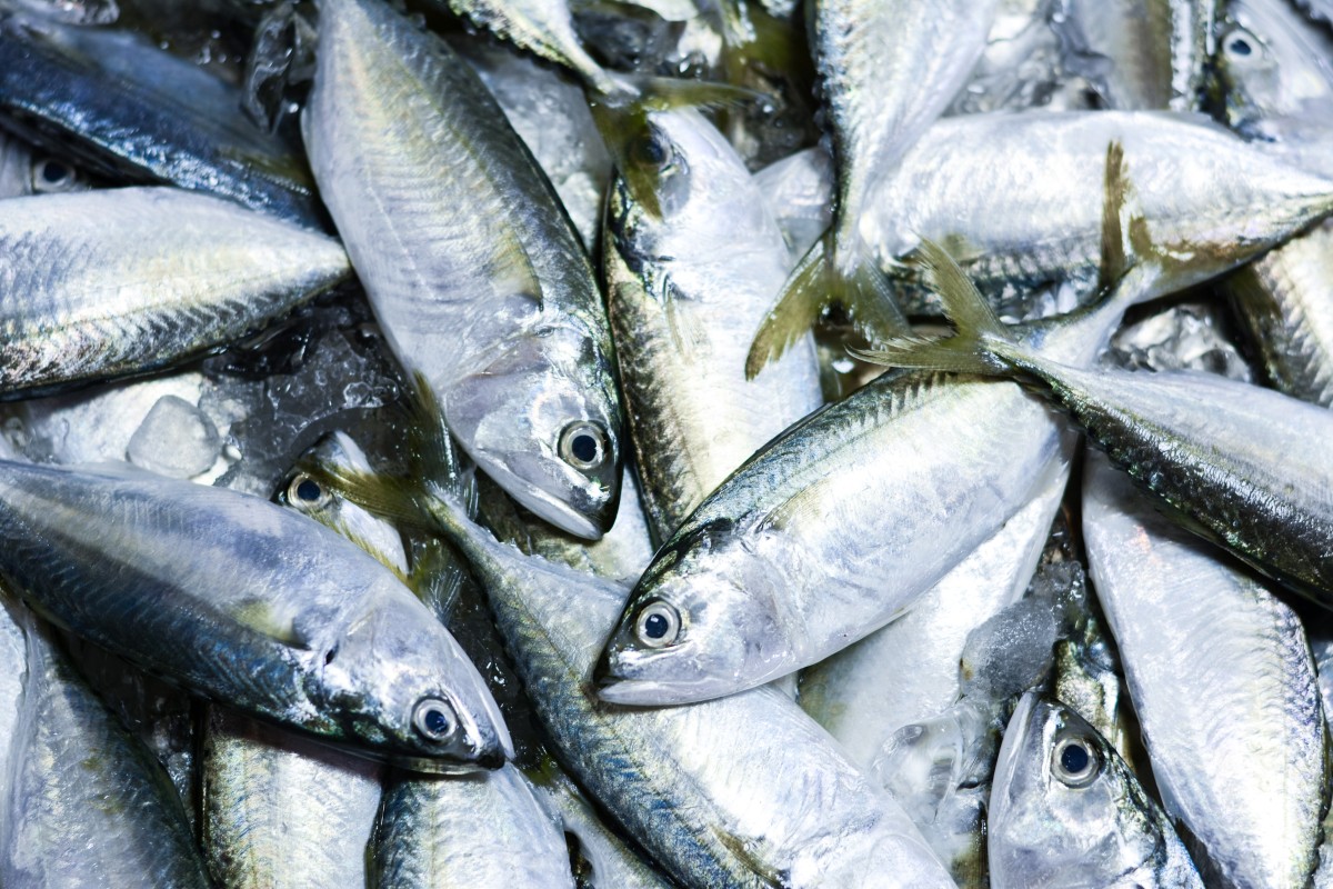 مجلة كل الأسرة