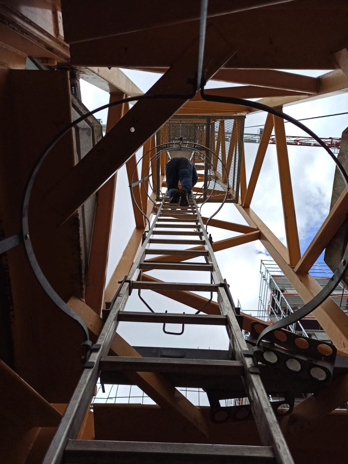 سعادتها حين تكون وحيدة في كابينتها