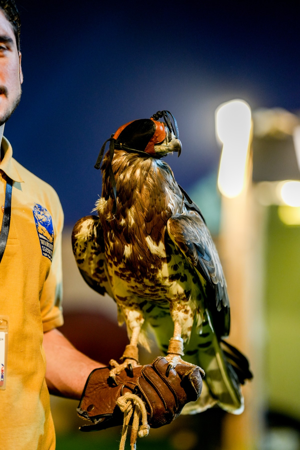 مجلة كل الأسرة