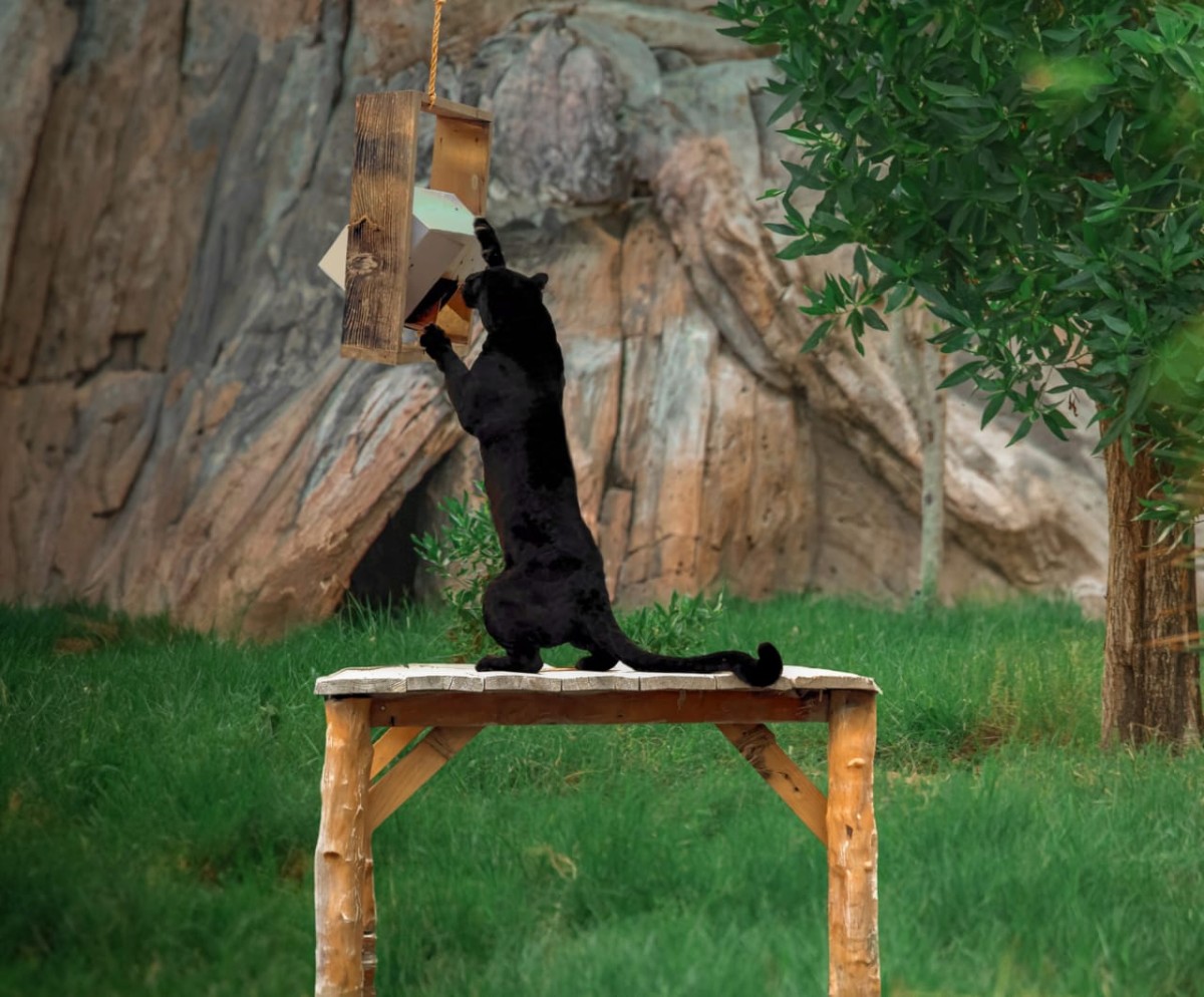 مجلة كل الأسرة