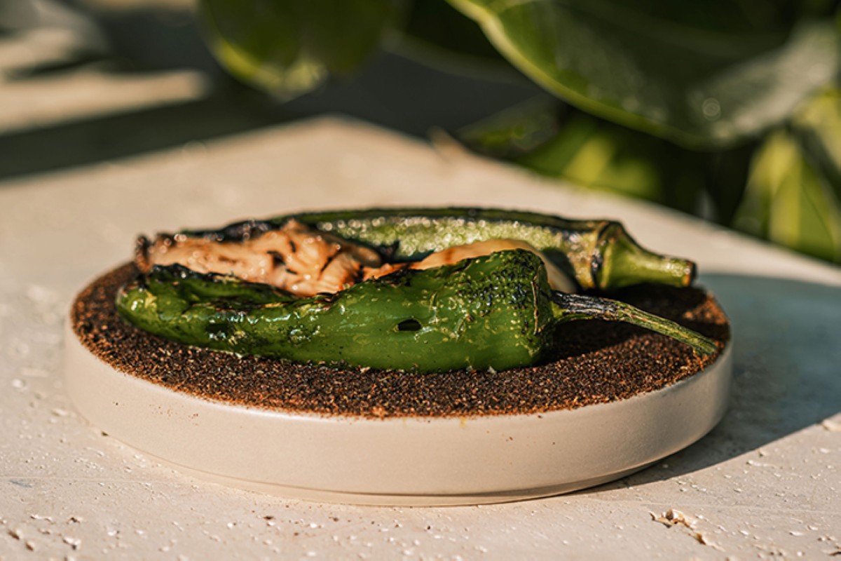 مجلة كل الأسرة