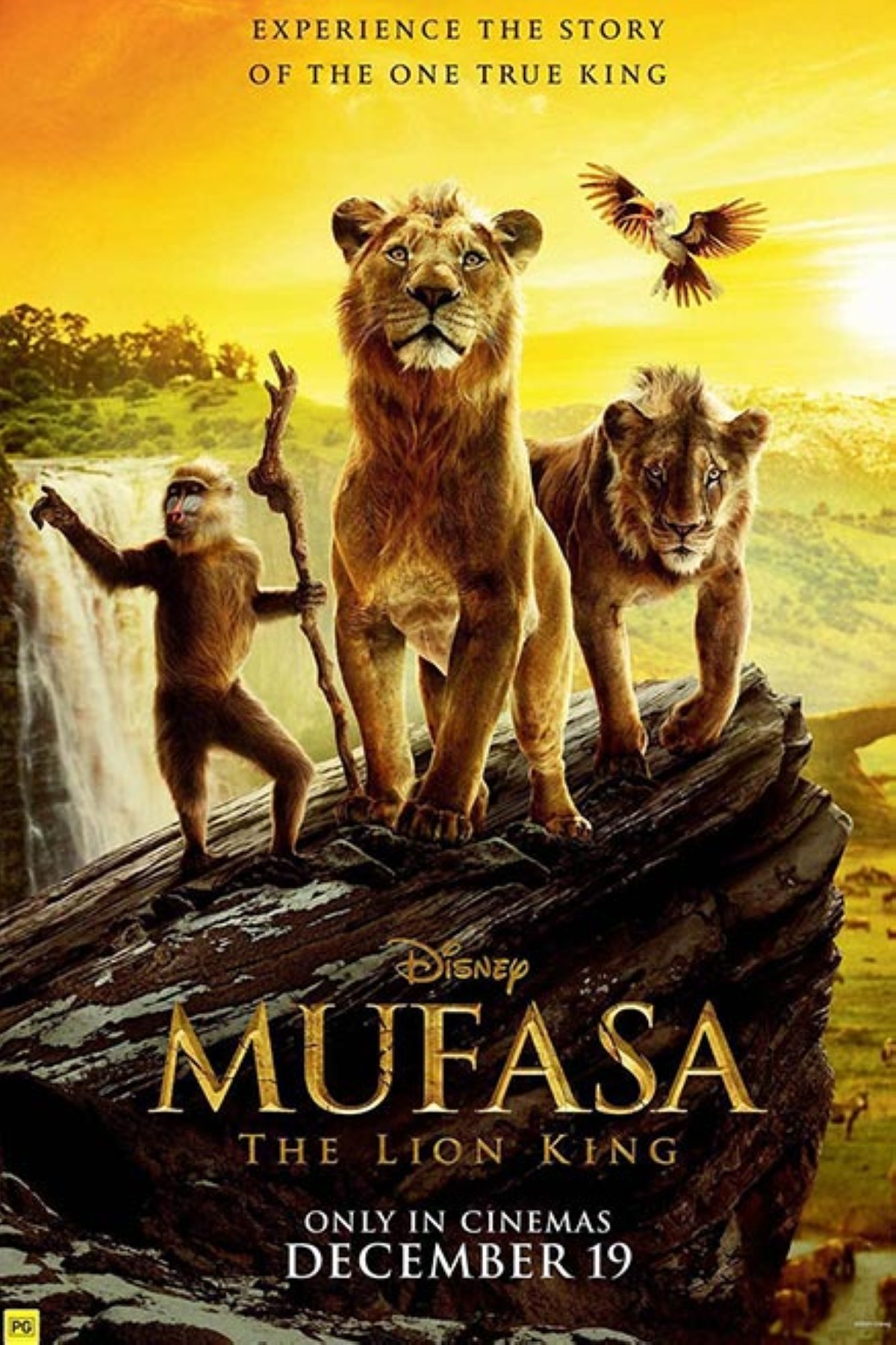 مجلة كل الأسرة