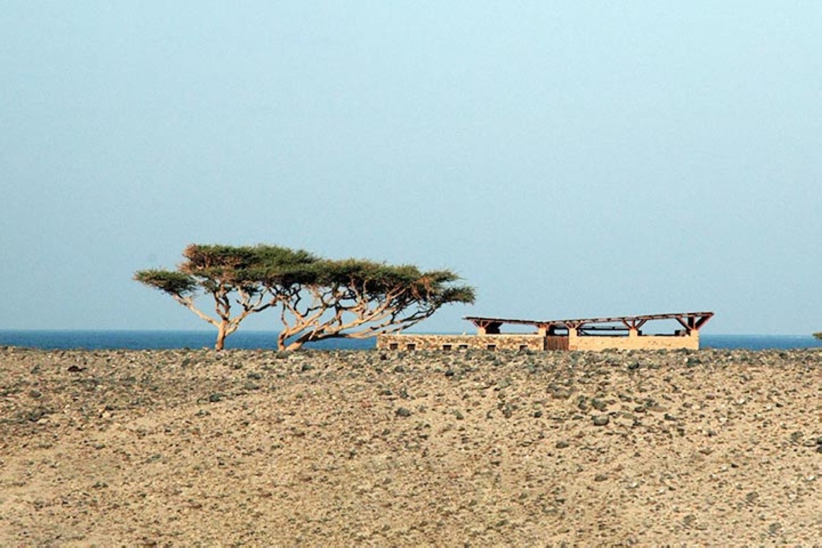 مجلة كل الأسرة