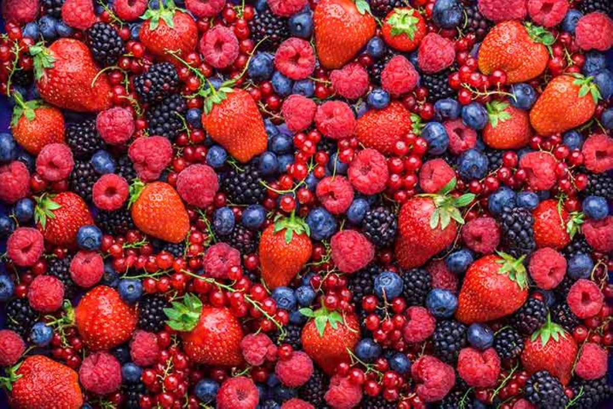 مجلة كل الأسرة