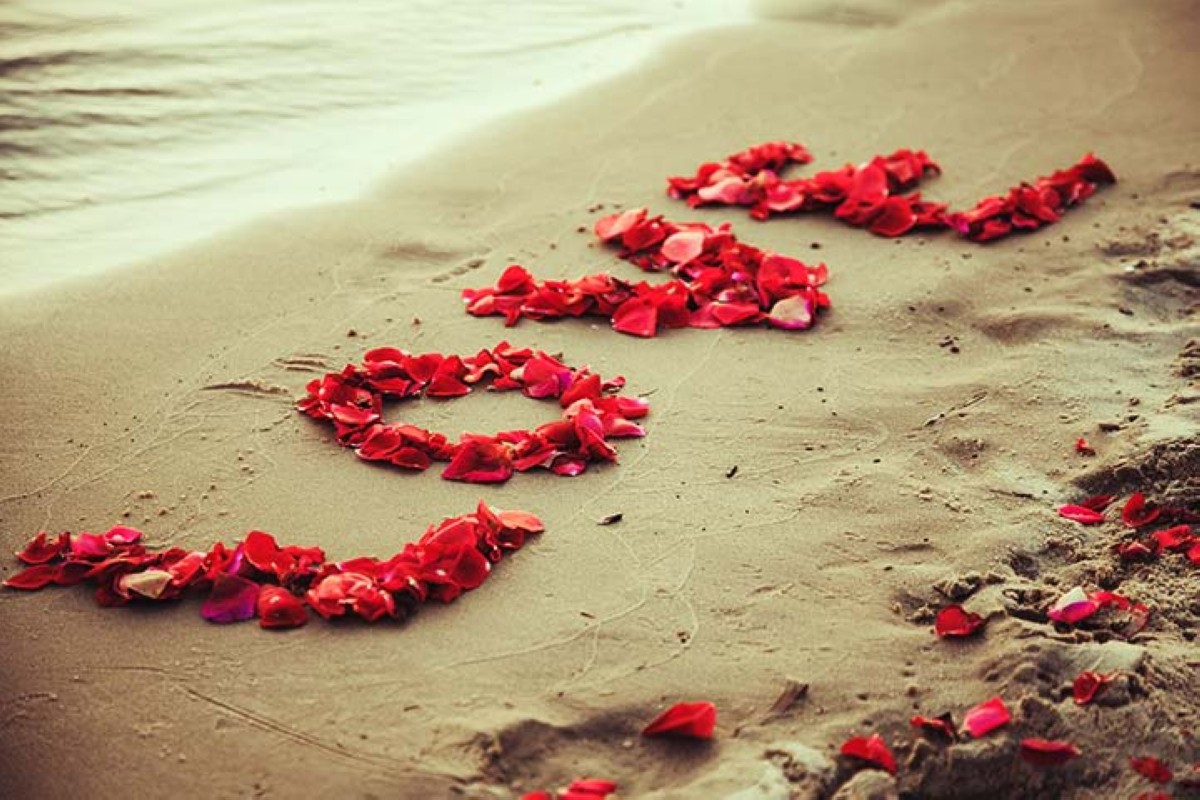 مجلة كل الأسرة