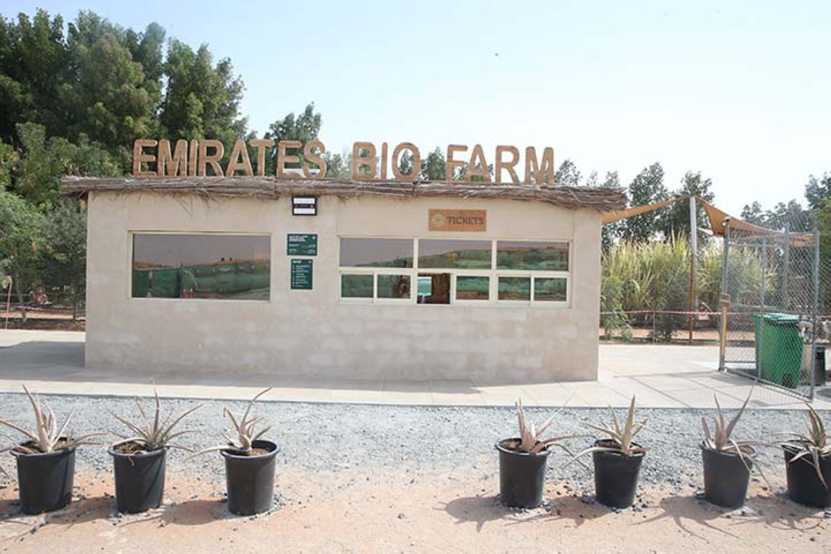 مجلة كل الأسرة