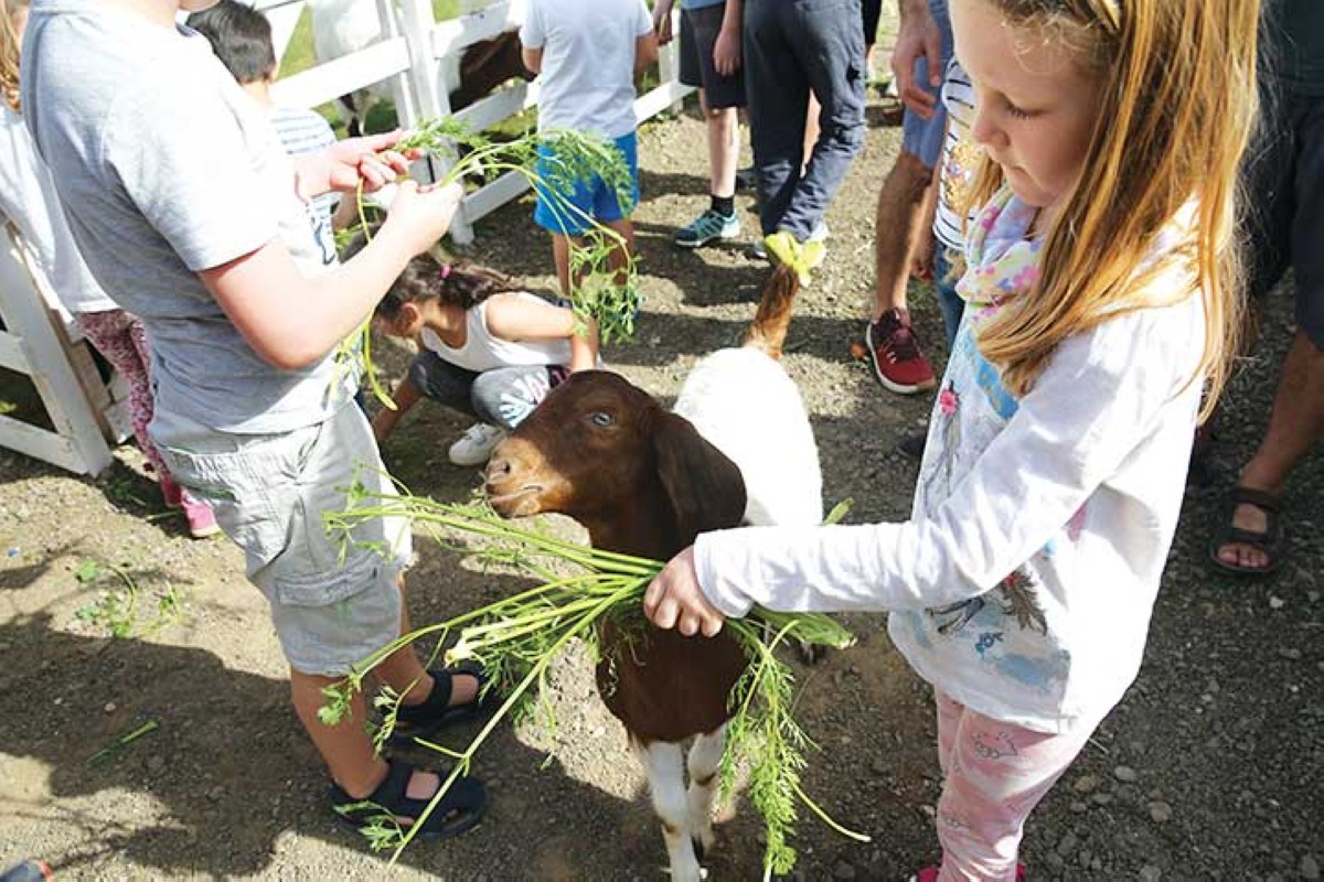 مجلة كل الأسرة