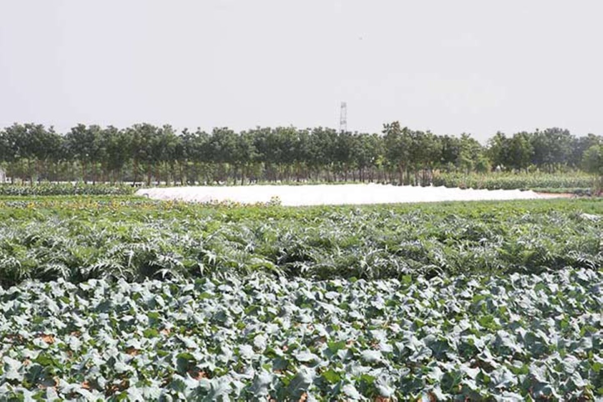 مجلة كل الأسرة