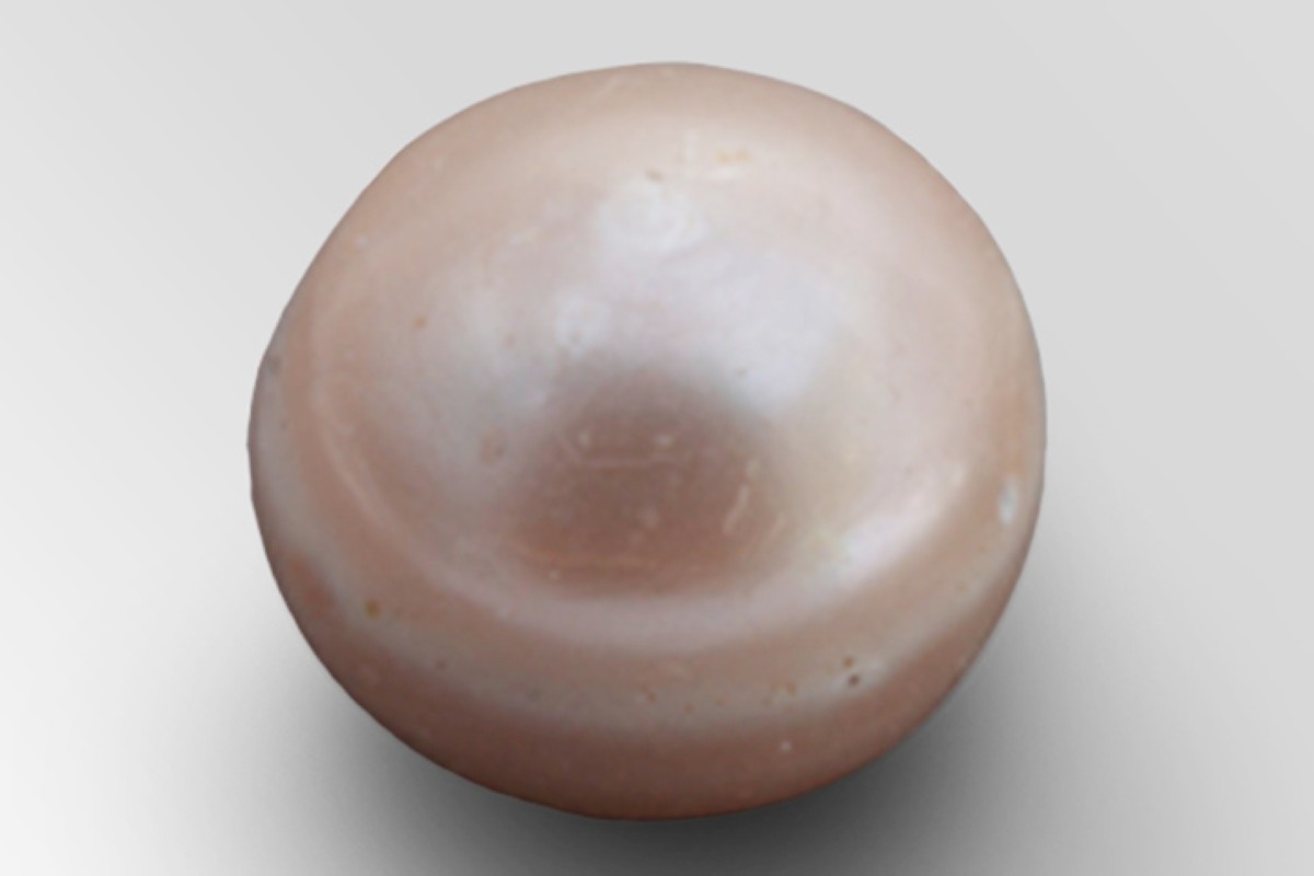 مجلة كل الأسرة