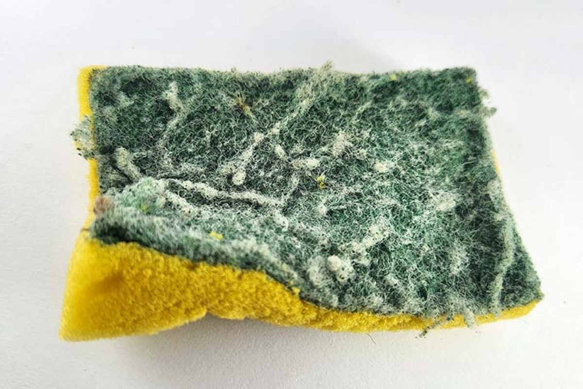 مجلة كل الأسرة