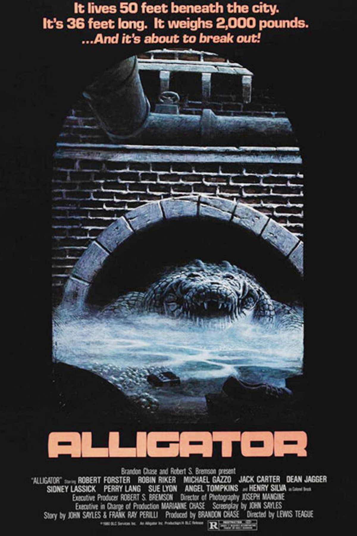 مجلة كل الأسرة