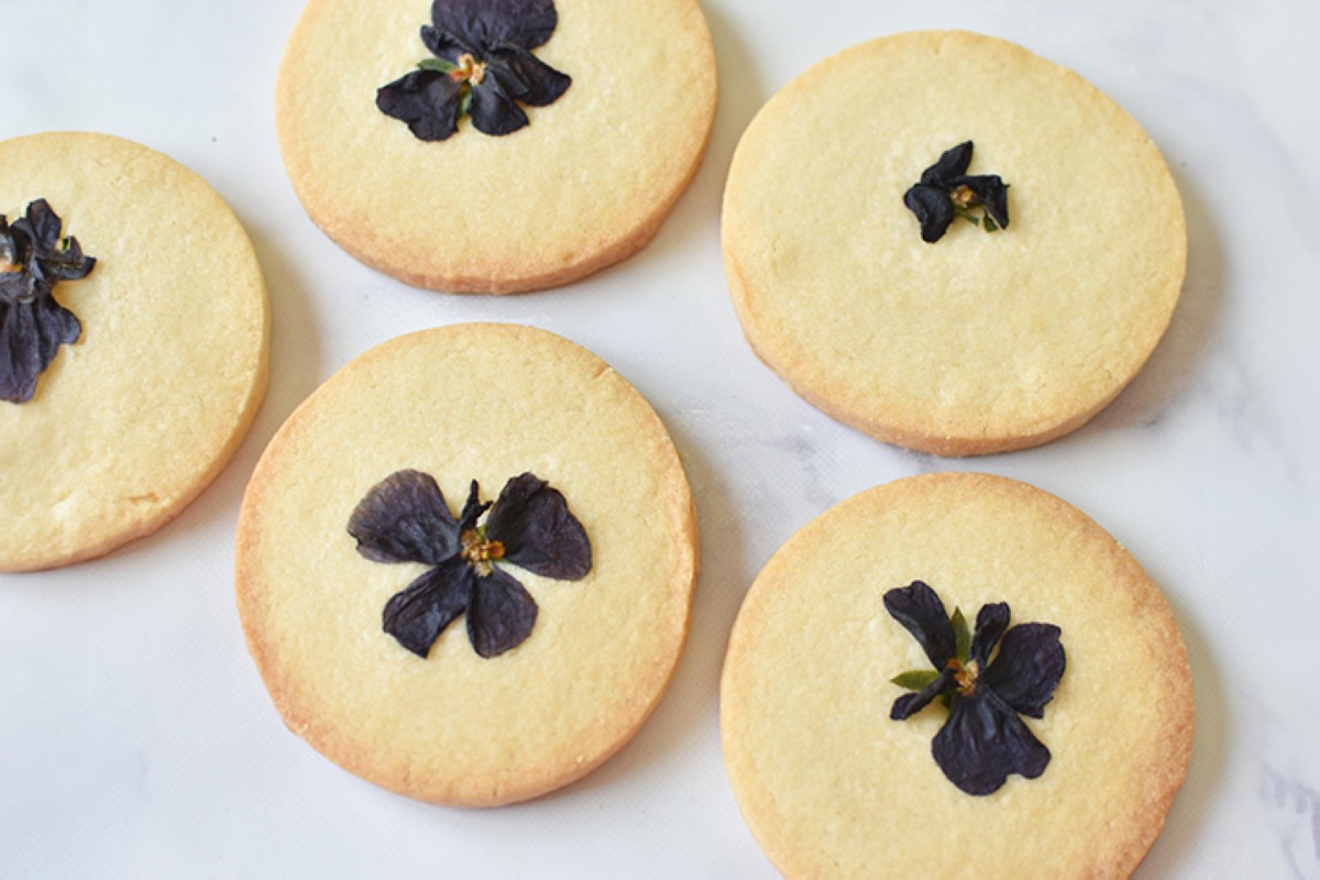 مجلة كل الأسرة