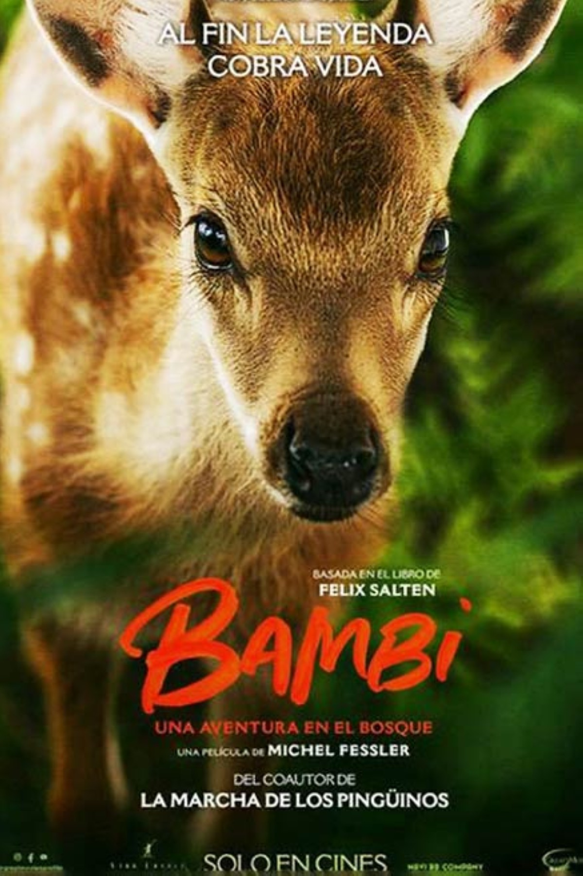 مجلة كل الأسرة