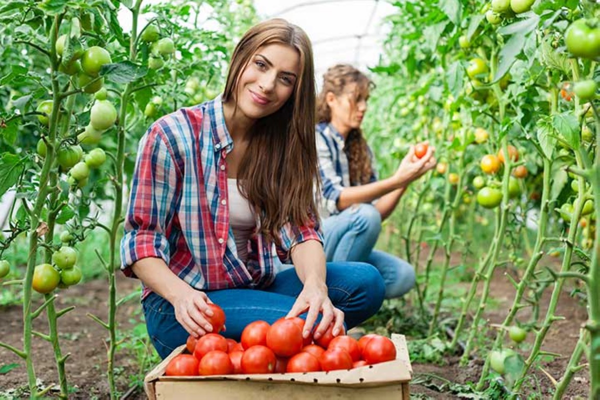 مجلة كل الأسرة