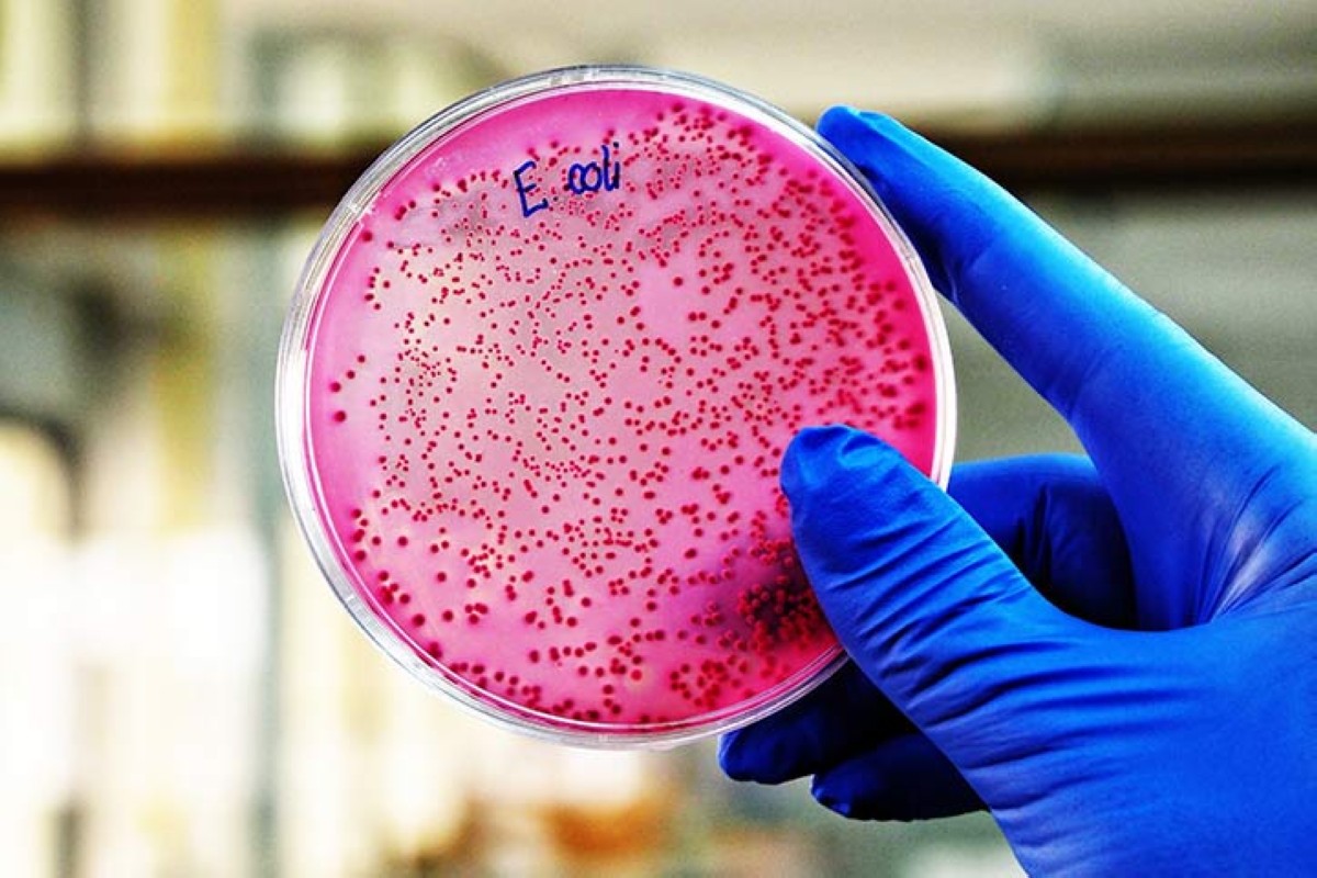 مجلة كل الأسرة