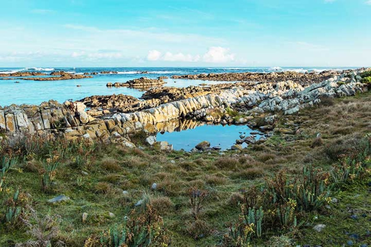 مجلة كل الأسرة