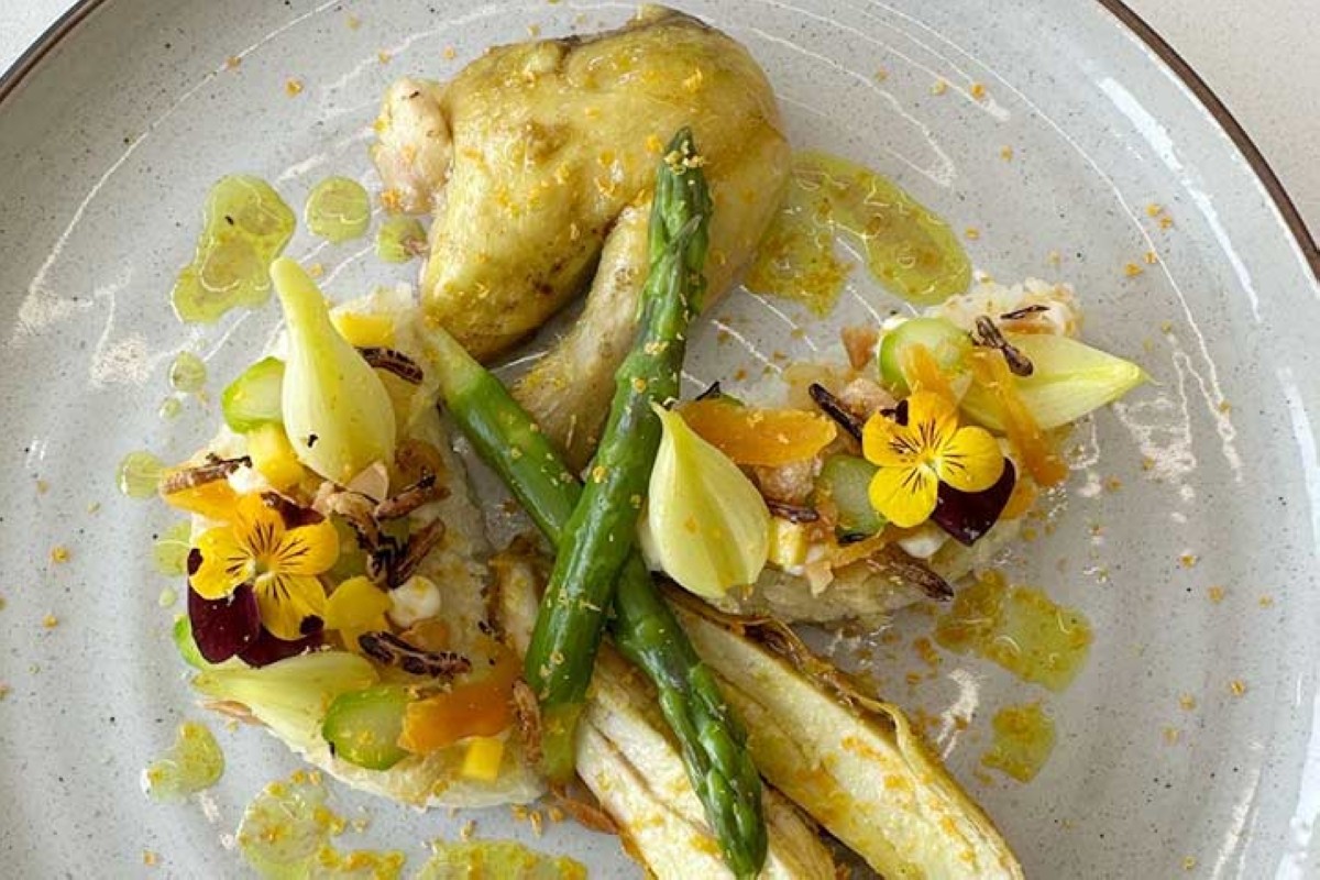 مجلة كل الأسرة