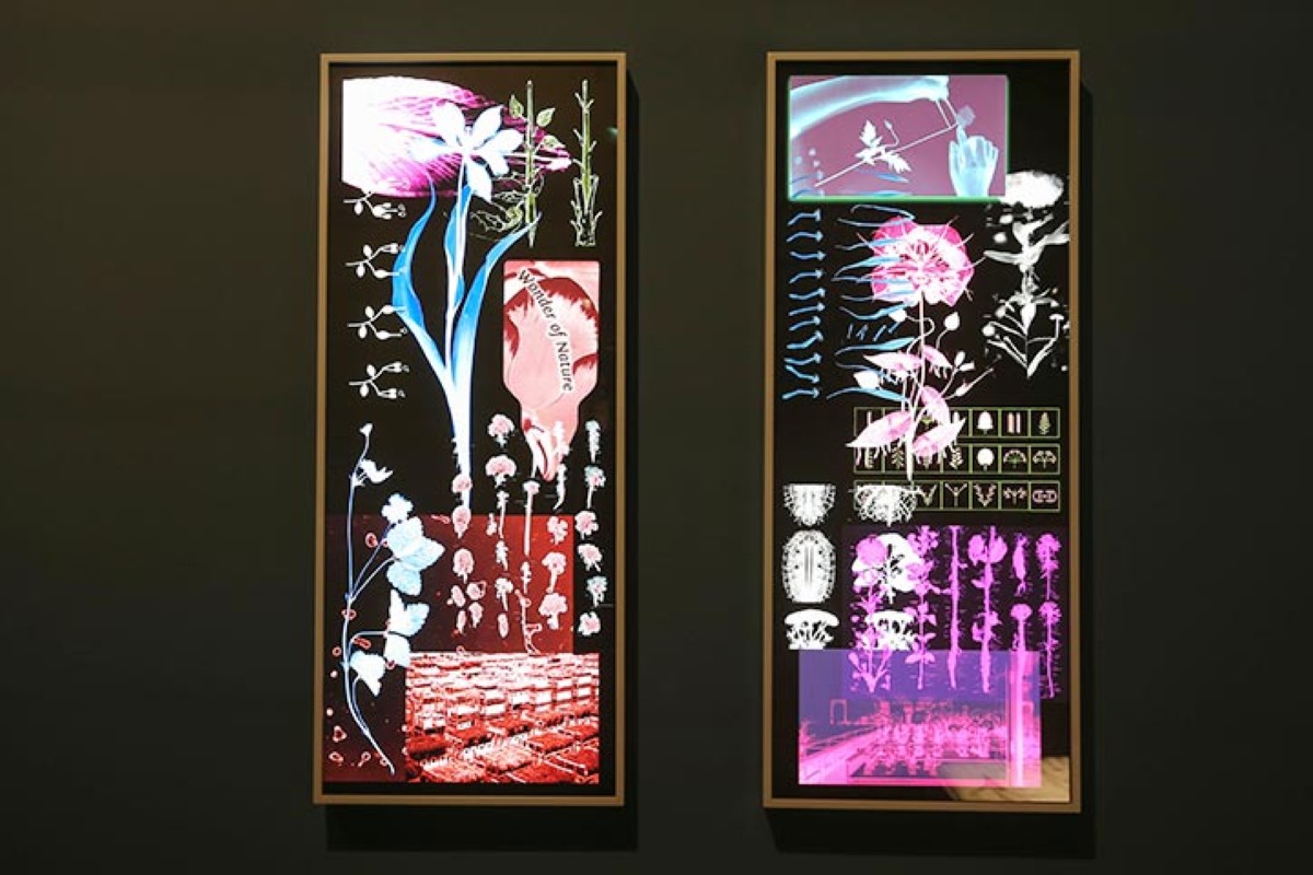 مجلة كل الأسرة