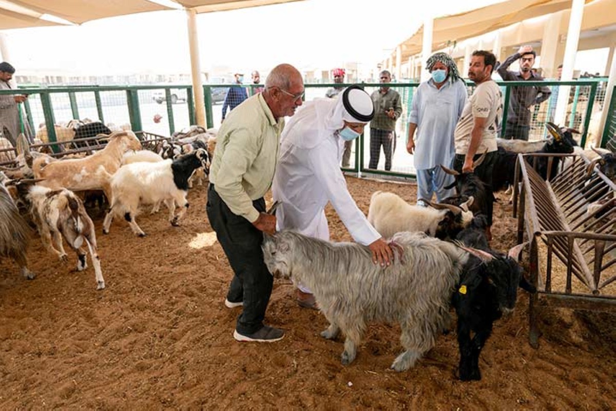 مجلة كل الأسرة