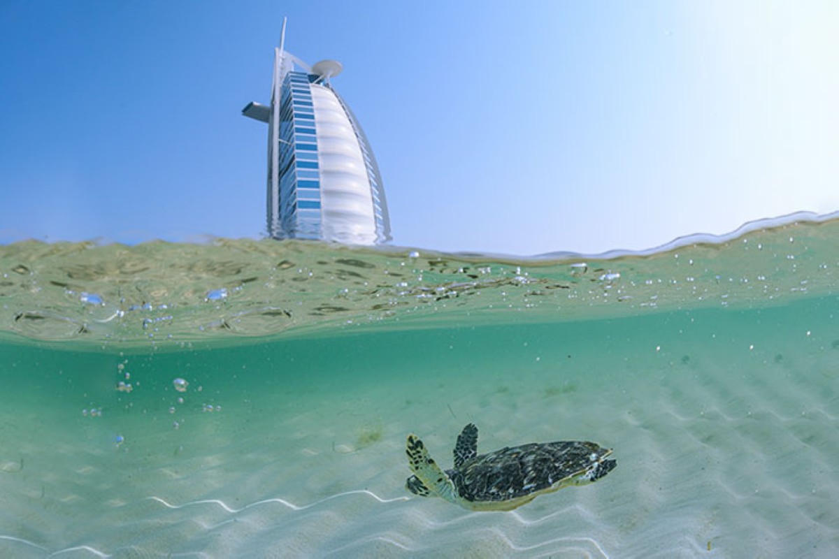 مجلة كل الأسرة