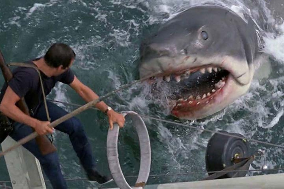 مجلة كل الأسرة