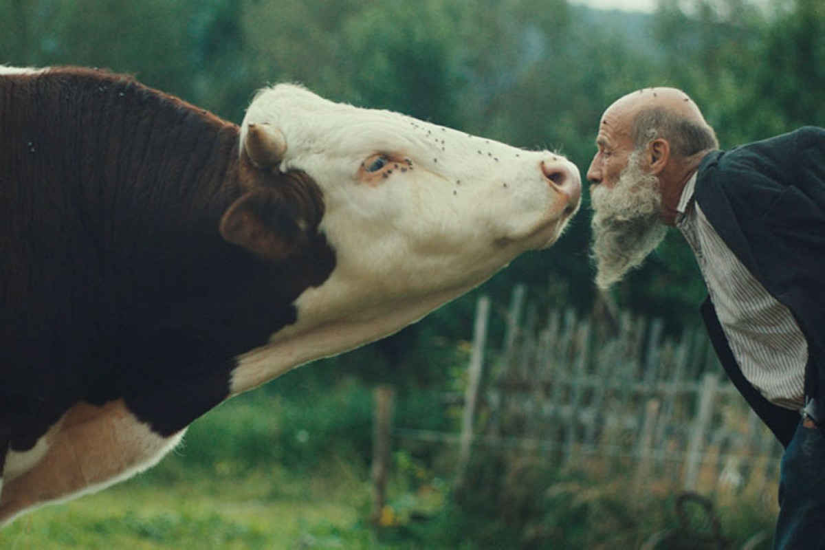 مجلة كل الأسرة