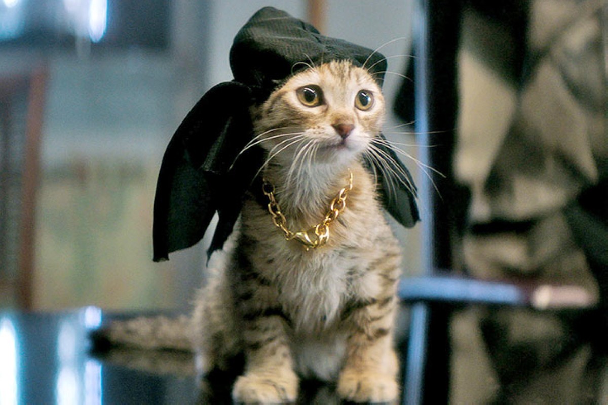 مجلة كل الأسرة