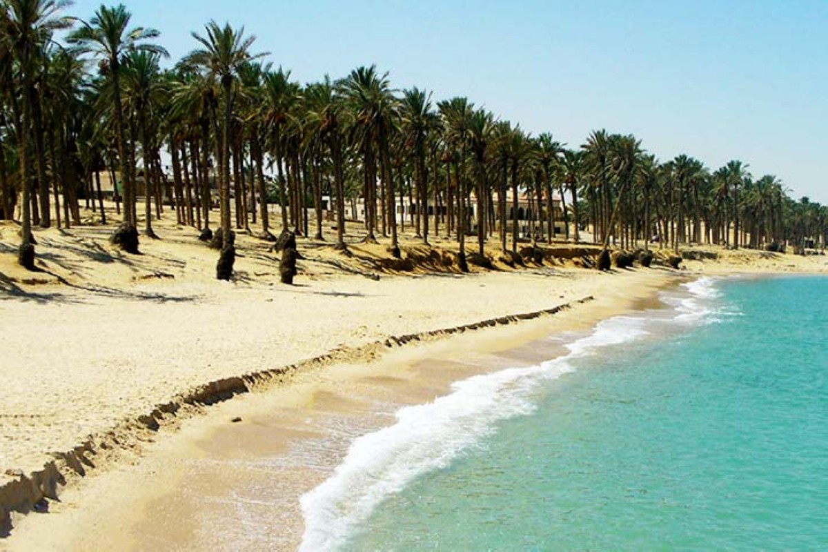 مجلة كل الأسرة