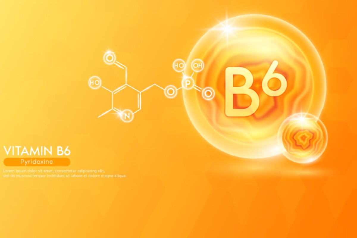 مجلة كل الأسرة