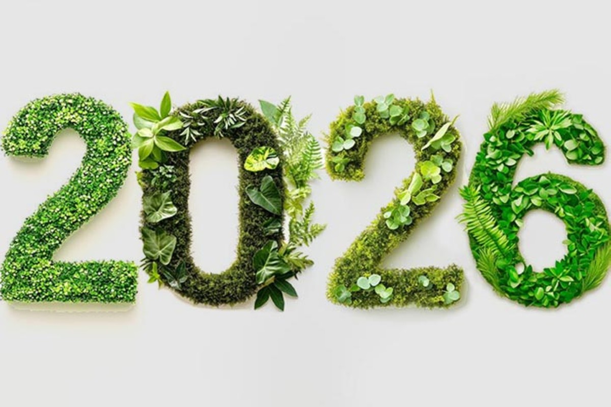 مجلة كل الأسرة