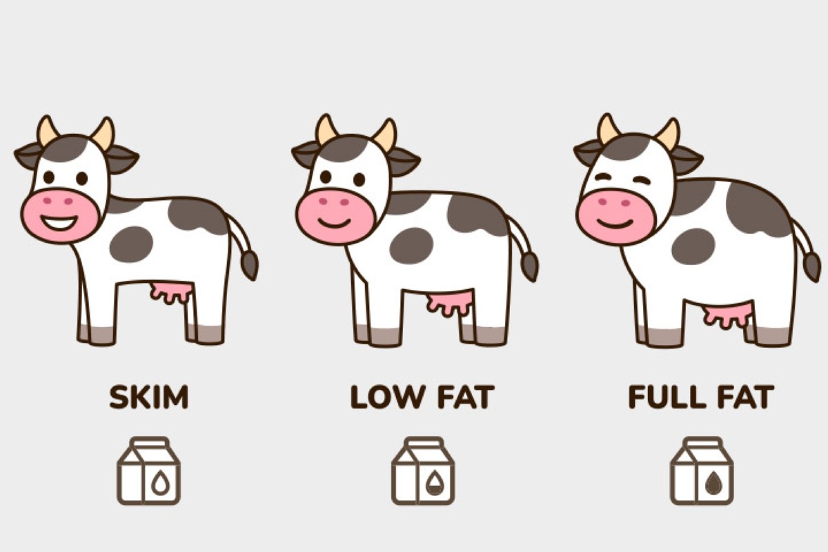 مجلة كل الأسرة