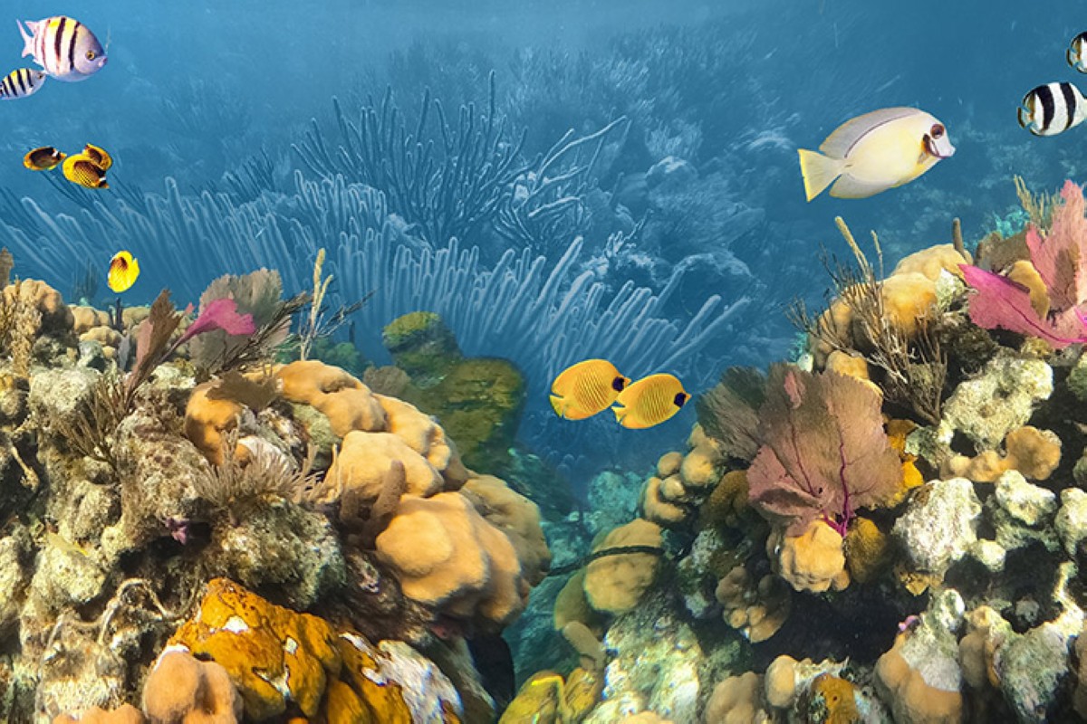 مجلة كل الأسرة