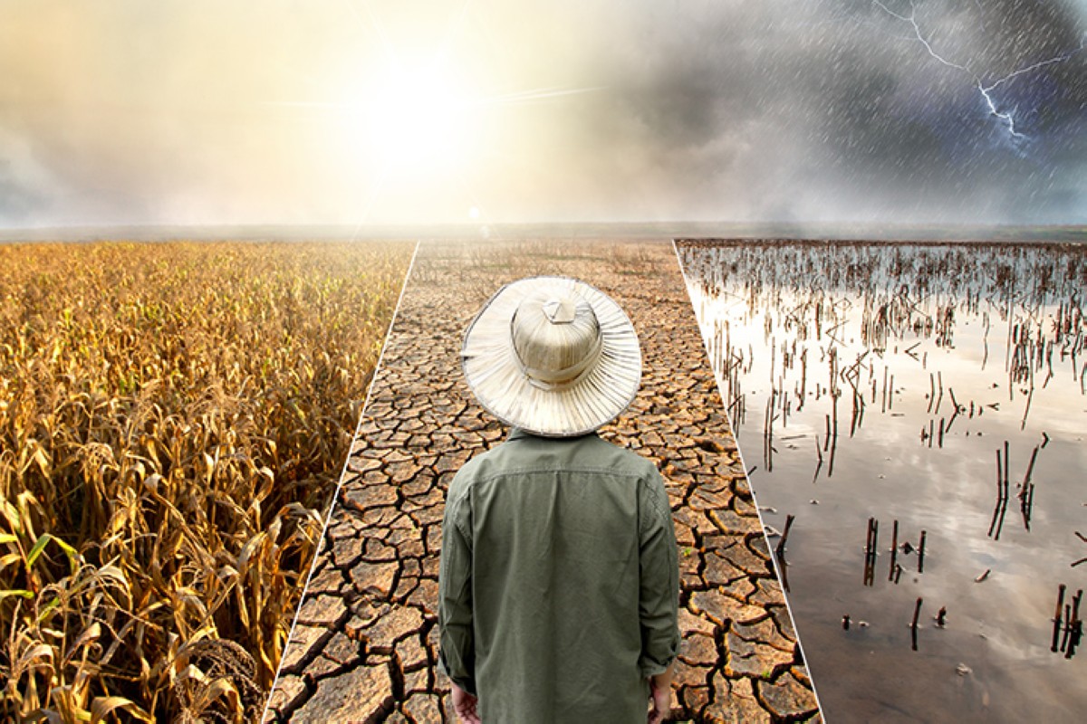 مجلة كل الأسرة