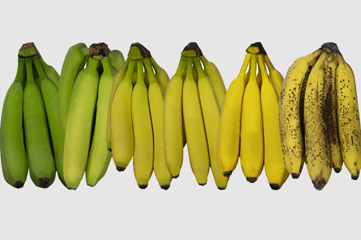 مجلة كل الأسرة