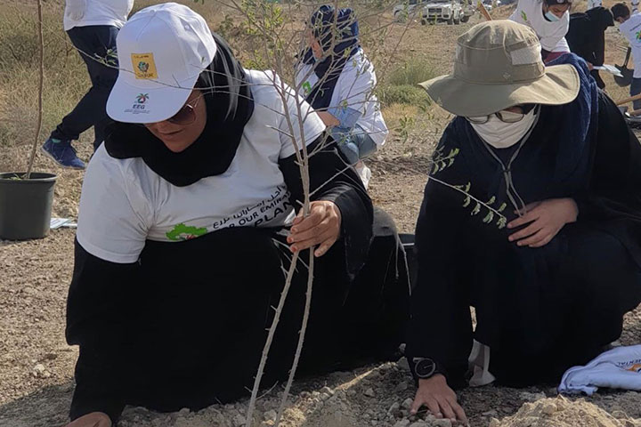 فاطمة الحنطوبي: الزراعة وإعادة التدوير شغفي.. وأشجار حديقتي تحمل أسماء أبنائي