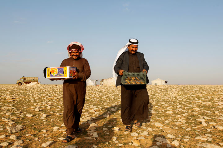 في العراق.. رحلة البحث عن الكمأ وسط الألغام