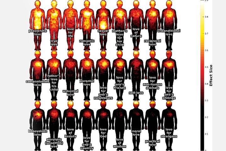 للعاطفة مكان في كل عضو بالجسم.. تعرّف إلى خريطة الحب الجسدية