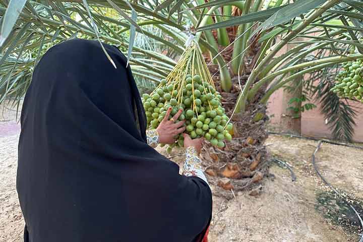 سريعة سعيد دلموك المهيري