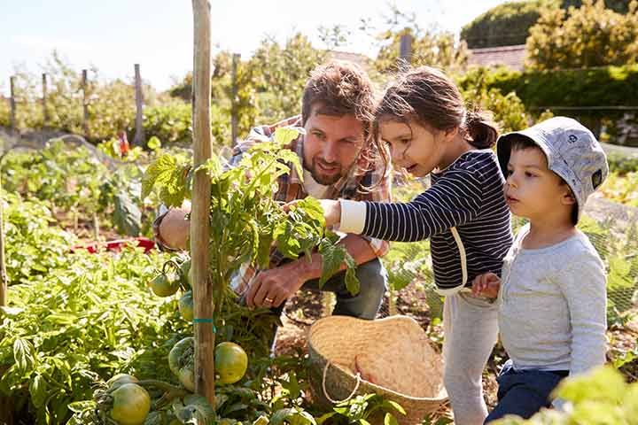 التنمية المستدامة.. واقع أفضل ومستقبل مشرق يبدأ من سلوكيات الفرد