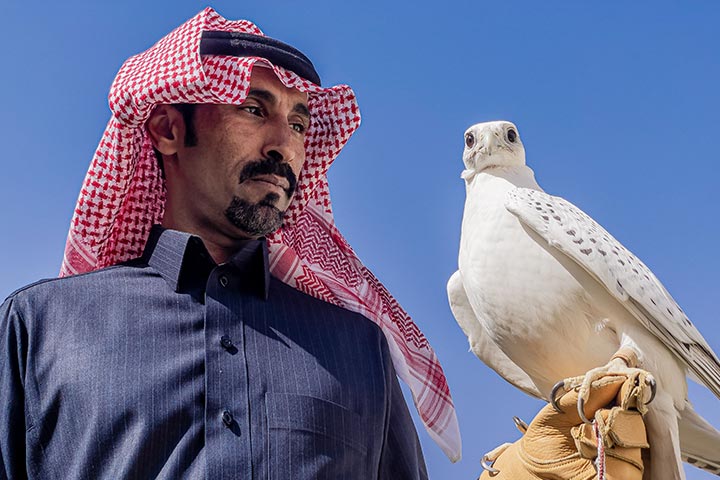 الصقار محمد بن عبدالله السبيعي